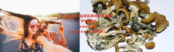 ECSTASY Сосновка