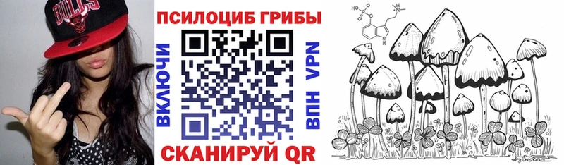 OMG маркетплейс  где найти наркотики  Володарск  Псилоцибиновые грибы Magic Shrooms 